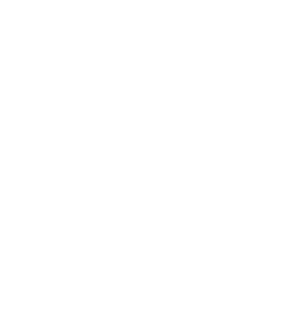 bordadochico